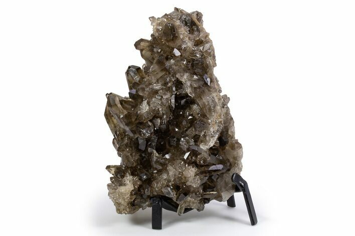 Dark Smoky Quartz Crystal Cluster on Metal Stand - Brazil #300616